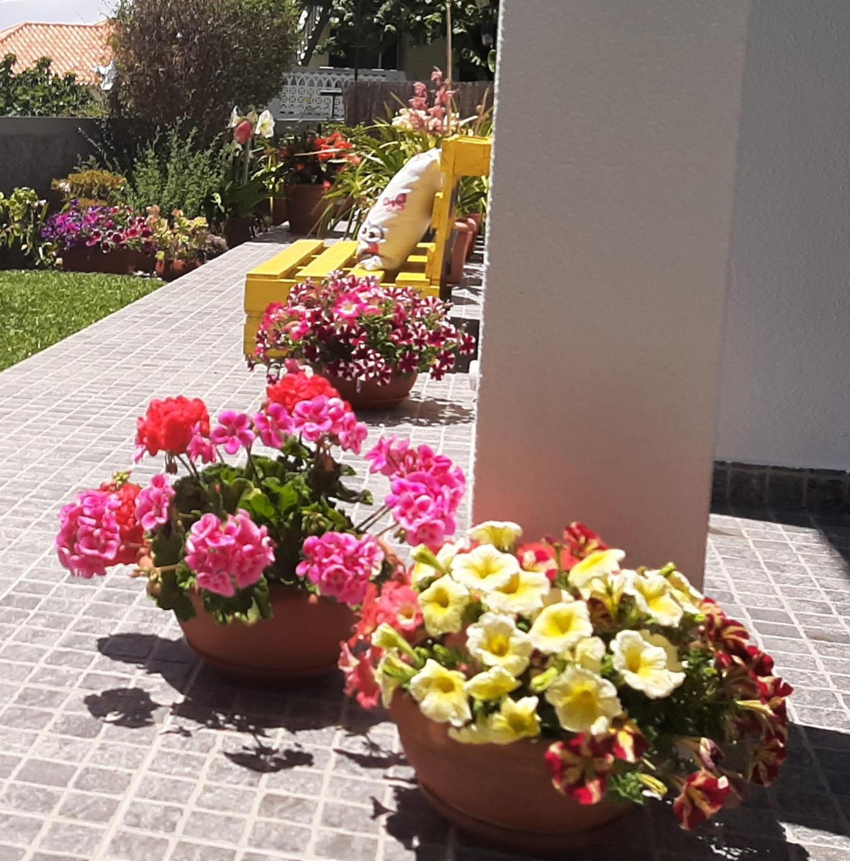 Casa Ventura Villa Arco da Calheta  Eksteriør bilde